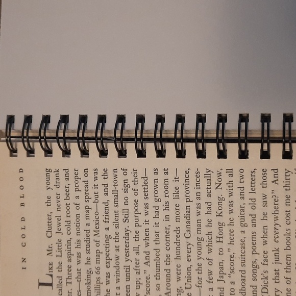 Secret Journal "In Cold Blood" - Picture 3 of 6